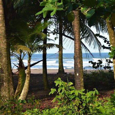 Hotel Pura Natura Beachfront Tortuguero Esterno foto