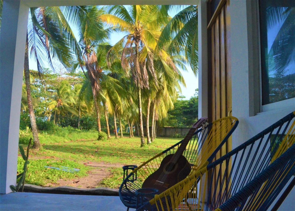 Hotel Pura Natura Beachfront Tortuguero Esterno foto