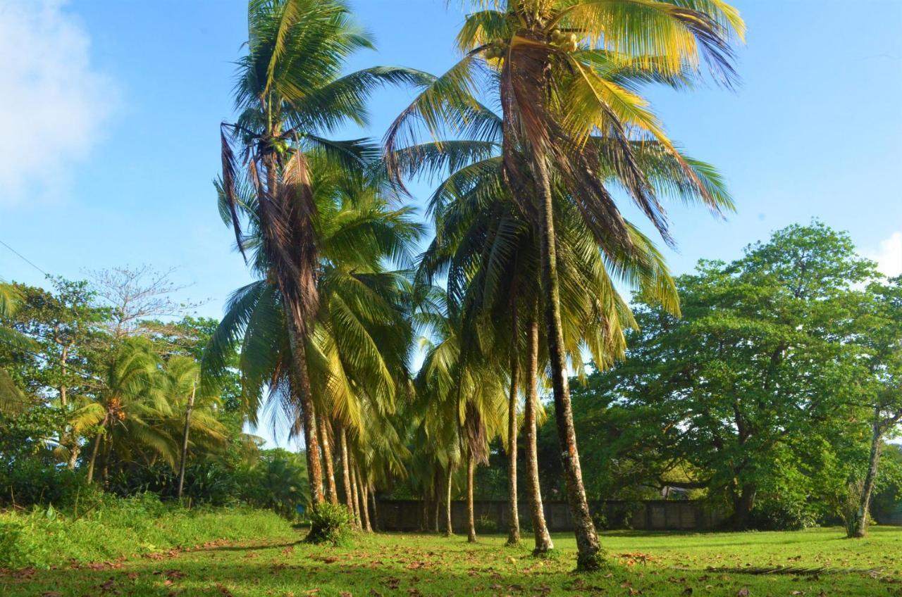 Hotel Pura Natura Beachfront Tortuguero Esterno foto