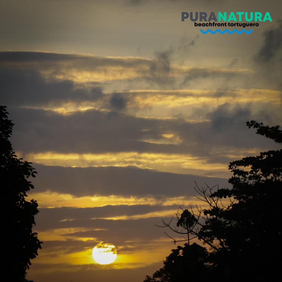 Hotel Pura Natura Beachfront Tortuguero Esterno foto