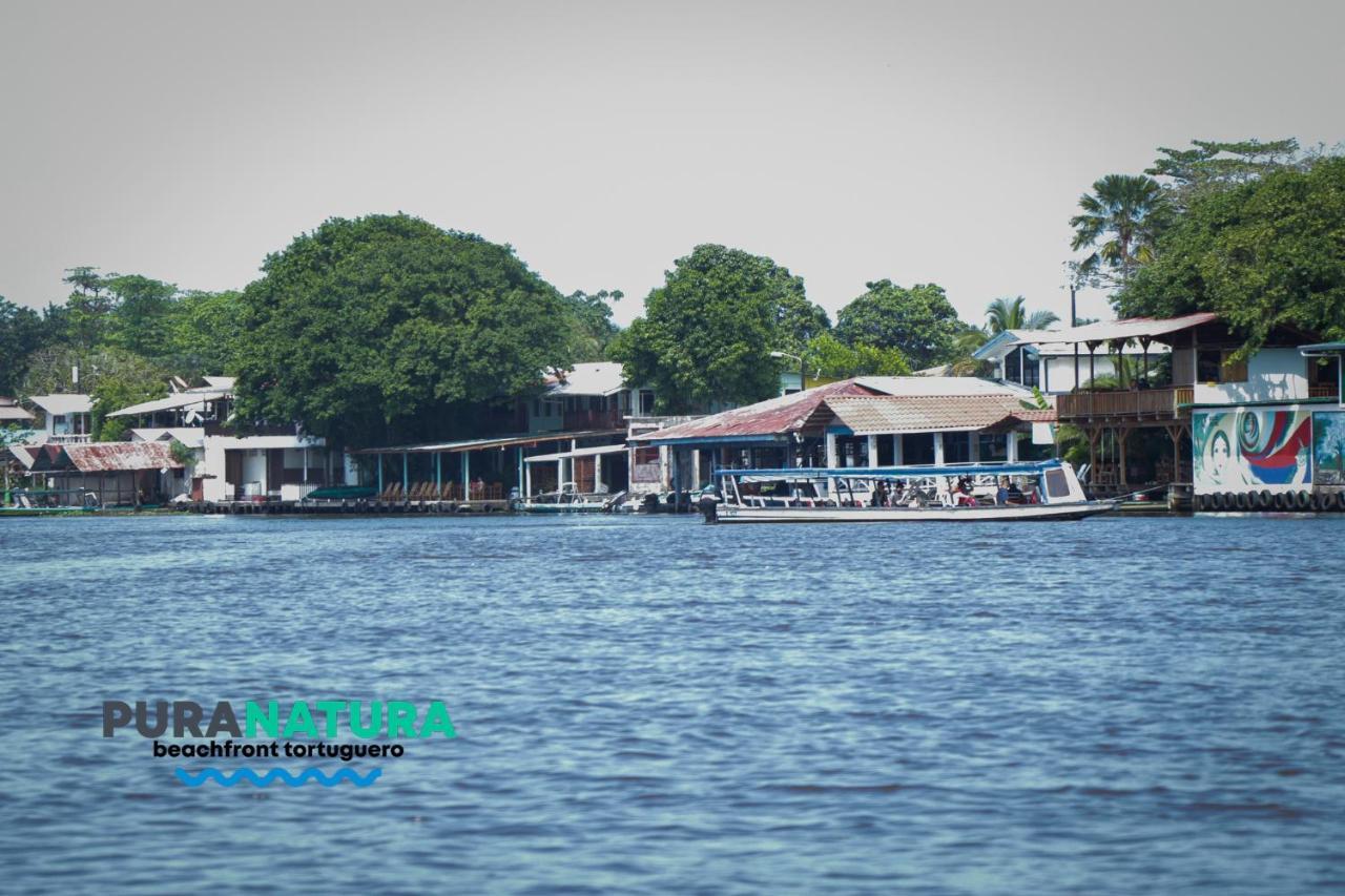 Hotel Pura Natura Beachfront Tortuguero Esterno foto