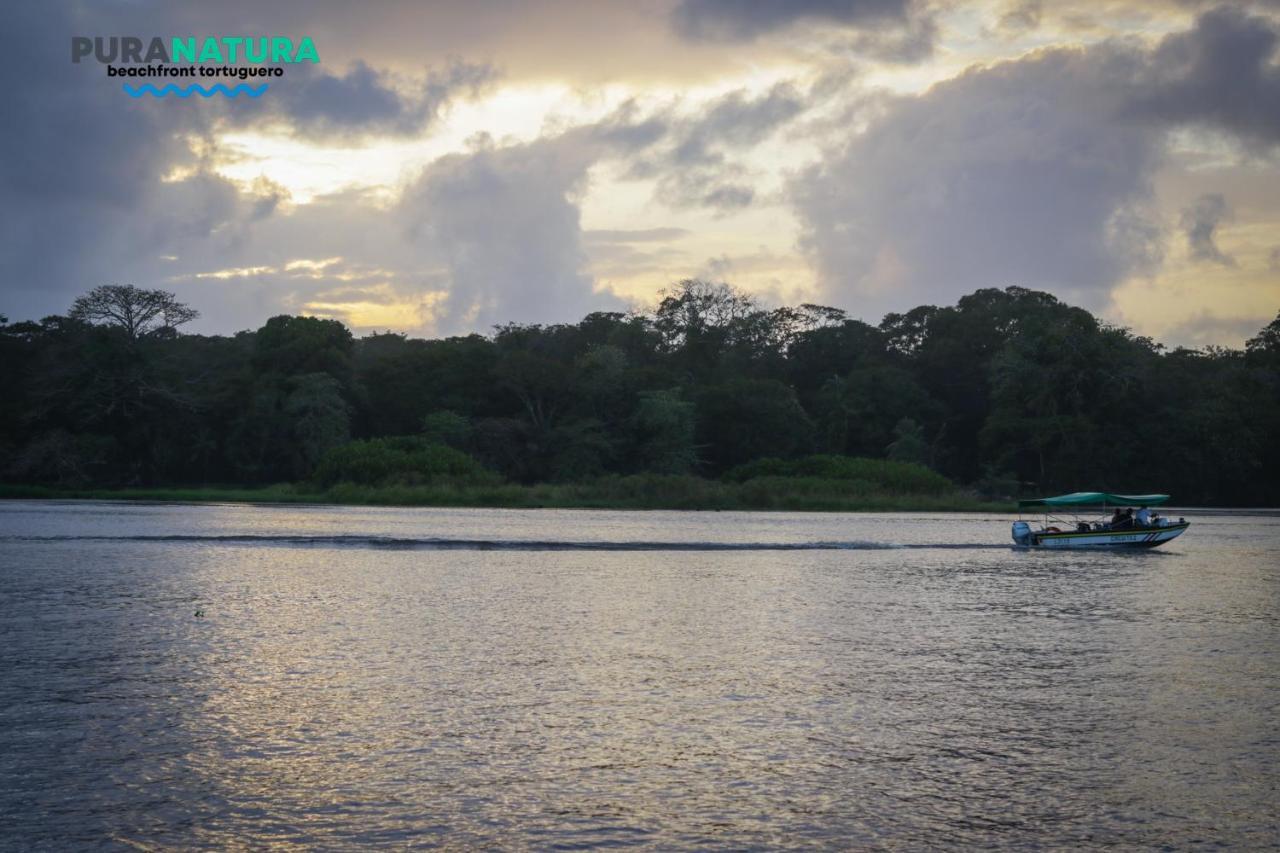 Hotel Pura Natura Beachfront Tortuguero Esterno foto