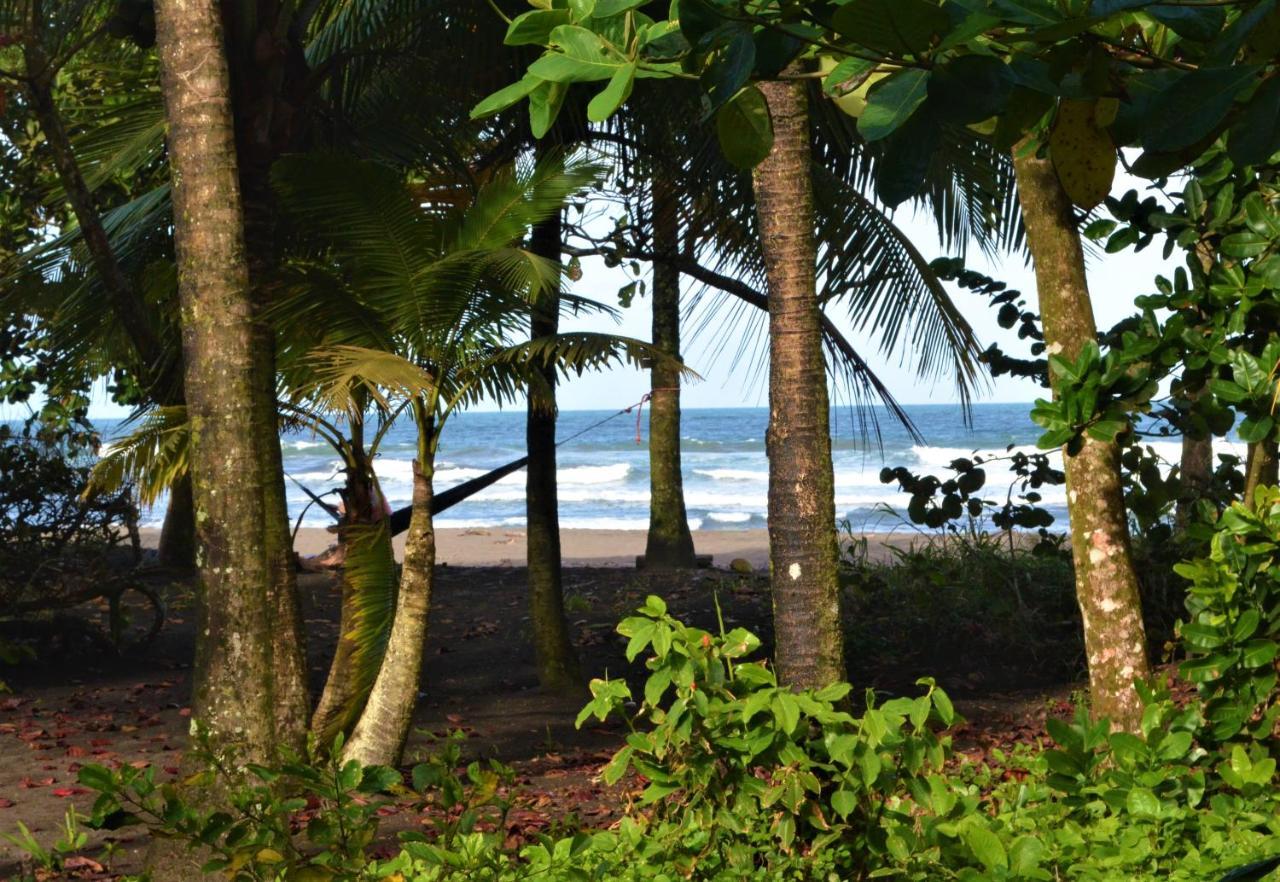 Hotel Pura Natura Beachfront Tortuguero Esterno foto