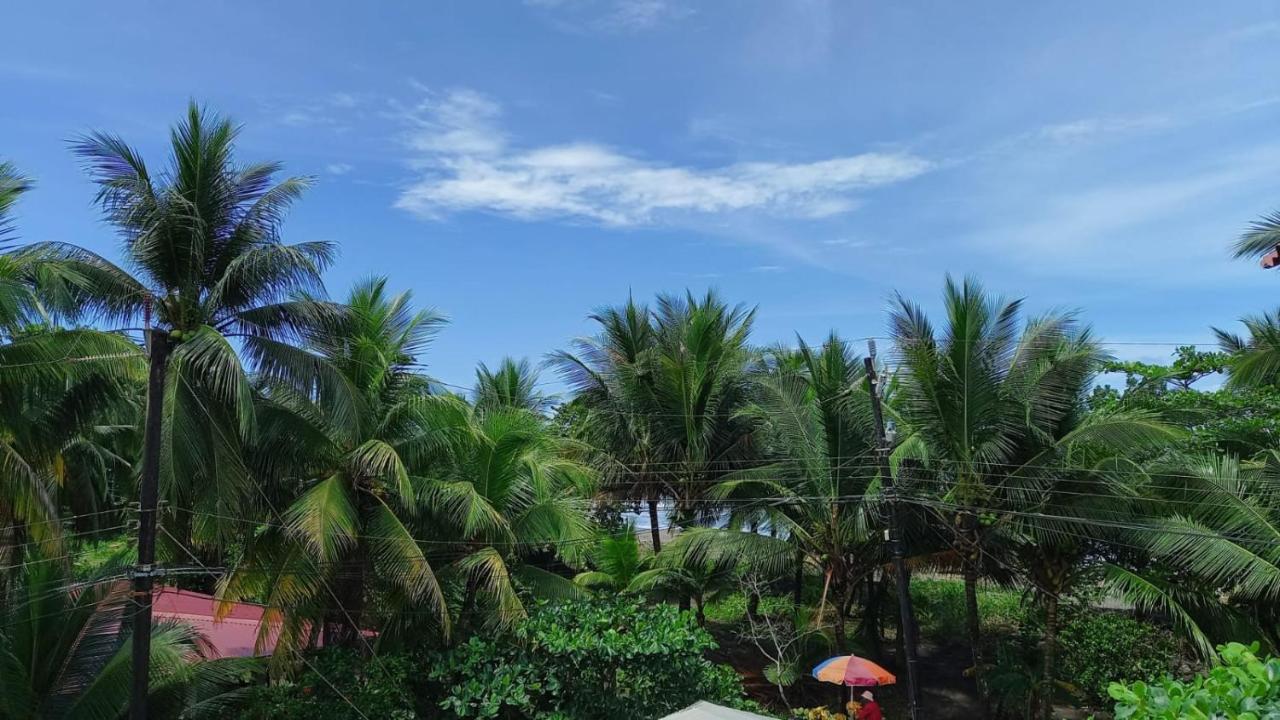 Hotel Pura Natura Beachfront Tortuguero Esterno foto