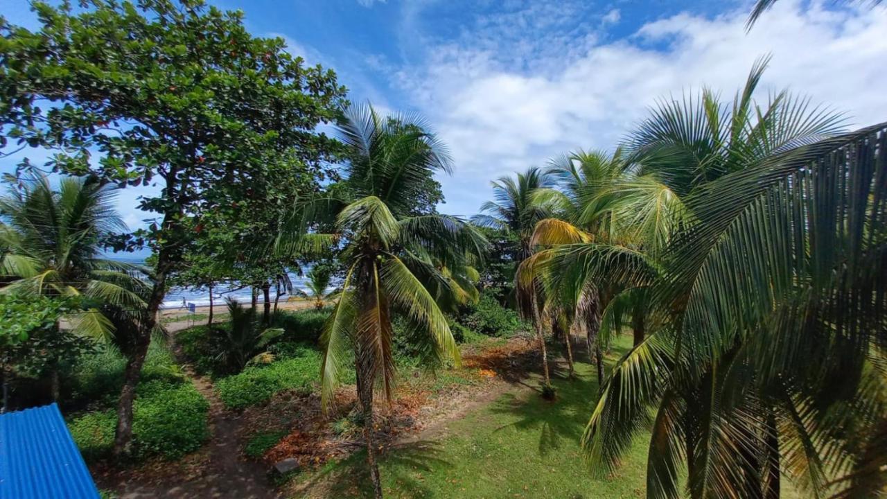 Hotel Pura Natura Beachfront Tortuguero Esterno foto